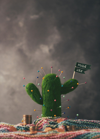 Cactus plant with pins and message
