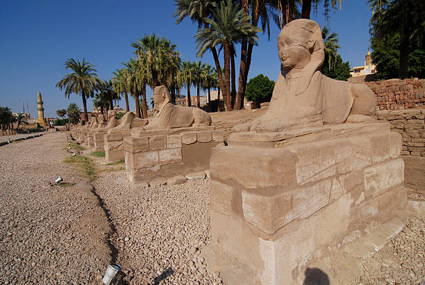 istock Avenue of Sphinxes in Luxor 90985206