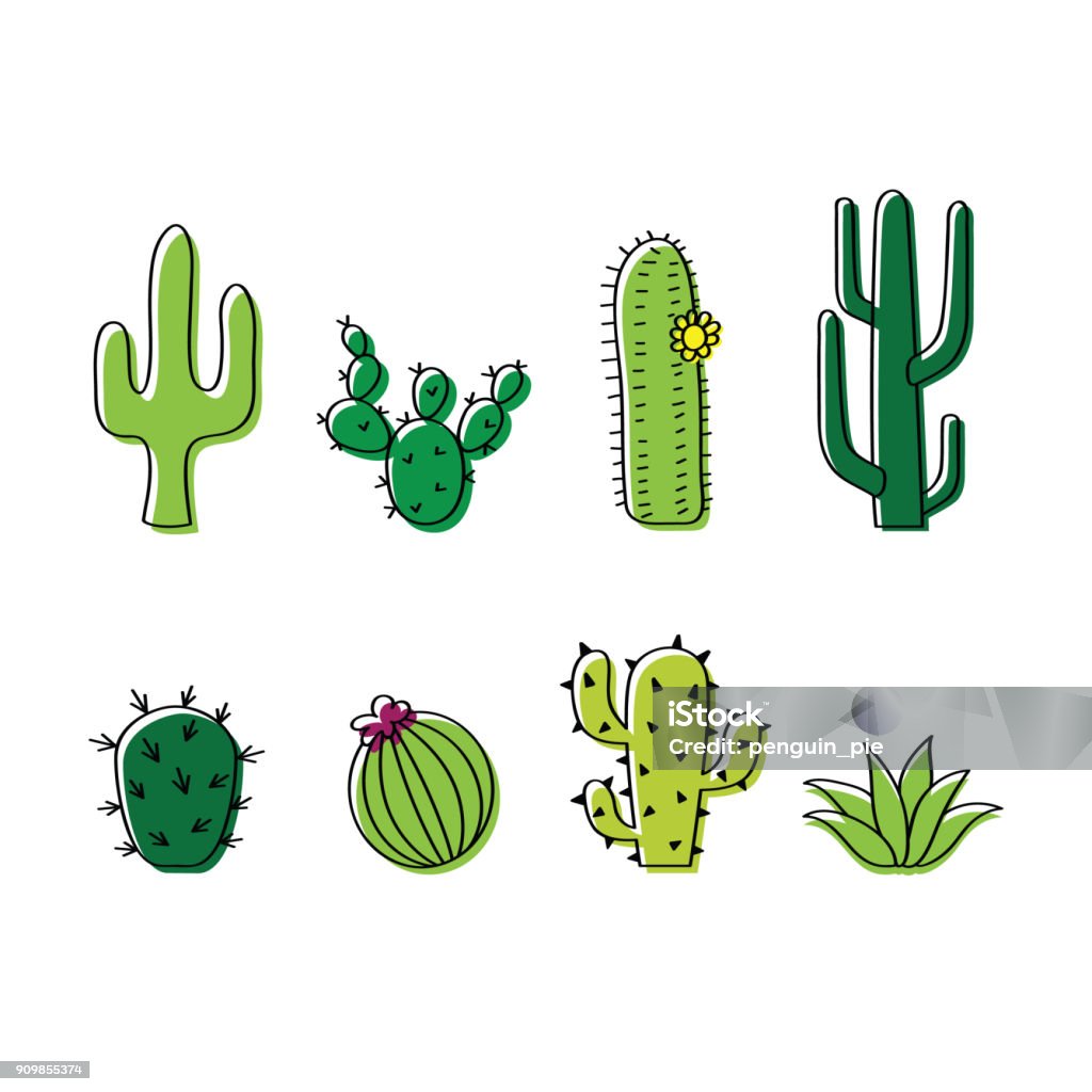 Set Of Vector Cacti Cactus Doodle Illustration Stock Illustration -  Download Image Now - Cactus, Vector, Drawing - Art Product - iStock