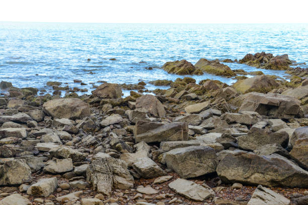 istock Stones on the Beach on the seashore 909861244