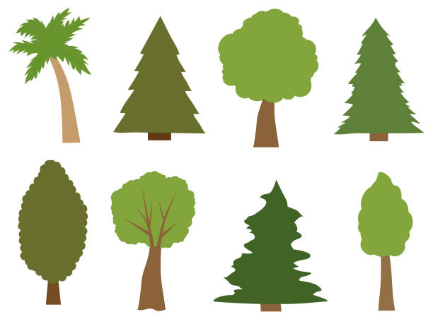 Smal Tree Vector 40+ Smal Plant Stock Illustrations, Royalty-Free Vector Graphics & Clip ...