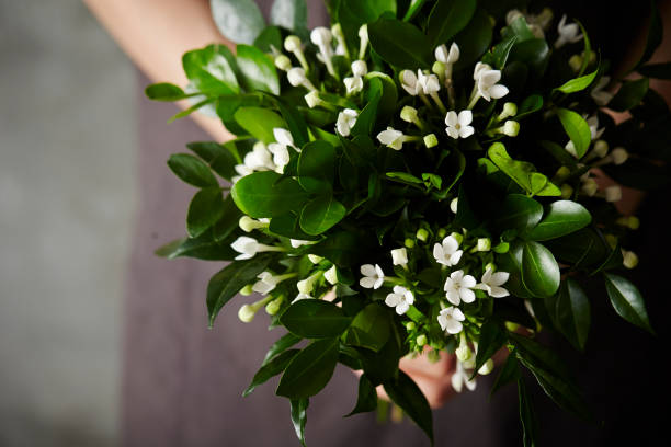 istock Woman holding flower 909862784