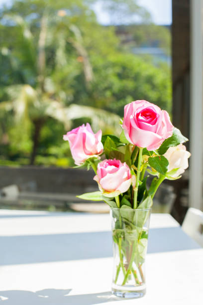 istock pink roses in water glass on white table 909865094