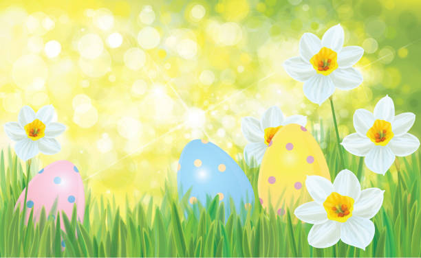 벡터 부활절 배경입니다. - daffodil spring backgrounds sky stock illustrations