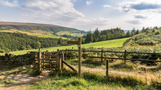 istock Landscape in the North York Moors, UK 909867084