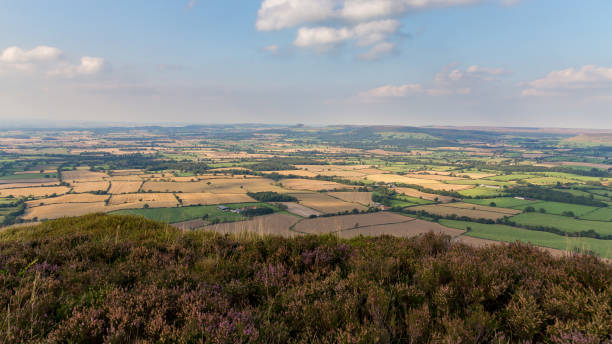 istock Landscape in the North York Moors, UK 909867094