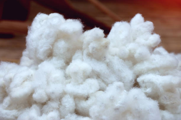white cotton used as textile fiber and thread for weaving