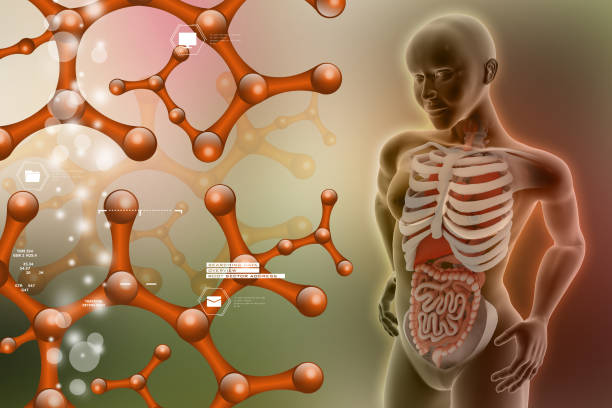 istock woman female human body 909871112