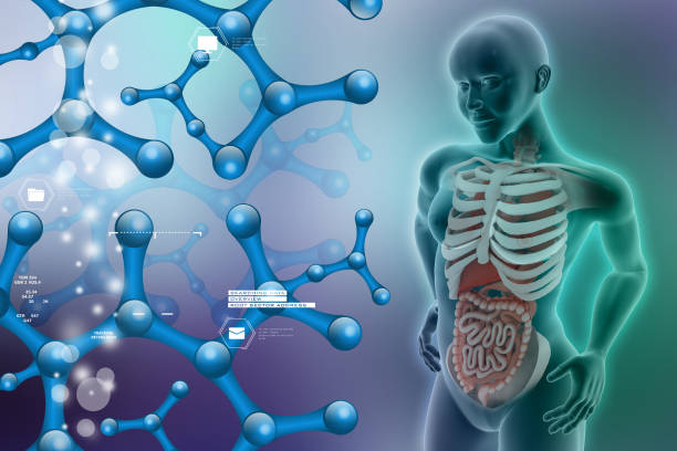 istock woman female human body 909878302
