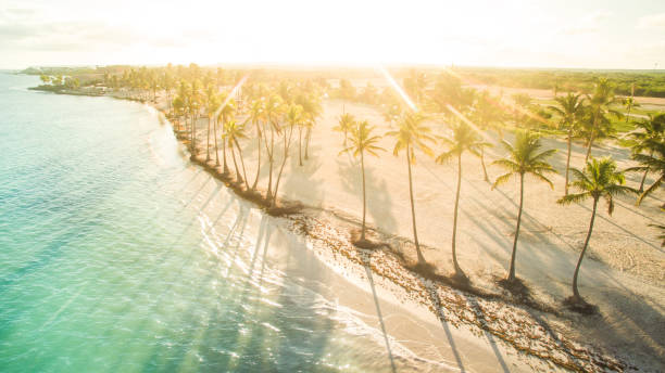 istock Afternoon at the sunny Caribbean 909879196