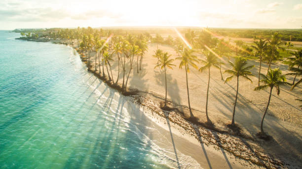 bañado en la luz del sol - mar caribe fotografías e imágenes de stock