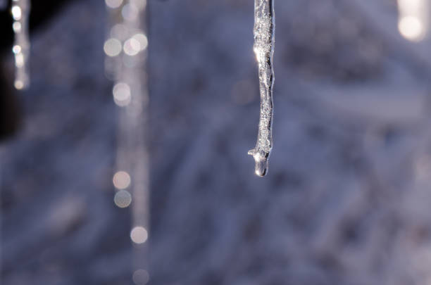 istock Icicle in front of blue background. The drop hanging from melting icicles on a bright spring day. Icicle and drop close-up. 909891454