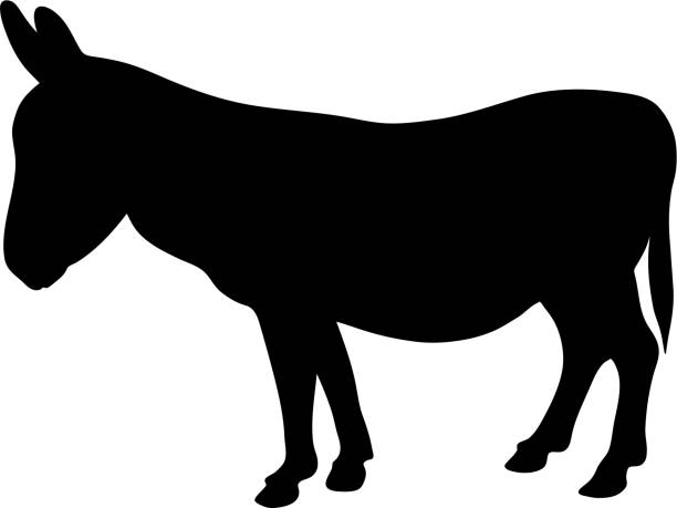 ilustraciones, imágenes clip art, dibujos animados e iconos de stock de silueta negra de pie de burro sobre fondo blanco, ilustración vectorial - mulish