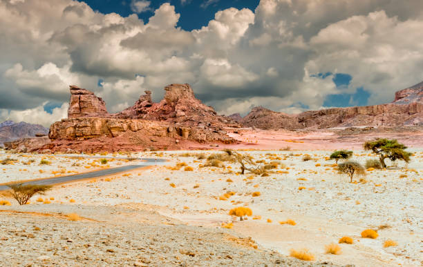 istock Geological formation in Timna park, Israel 909894452