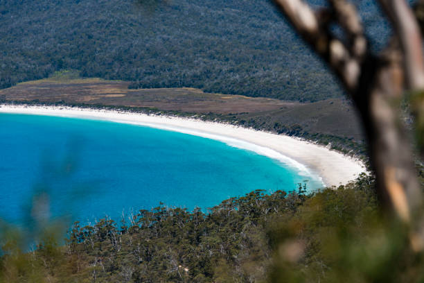 istock Wineglass Bay Tasmania, Australia 909895364