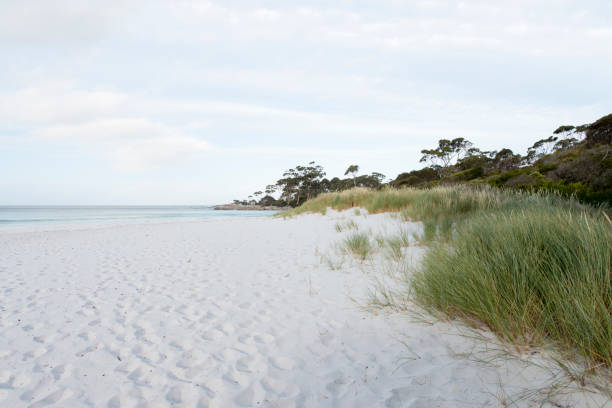 istock Bay of Fires, Tasmania, Australia 909895732