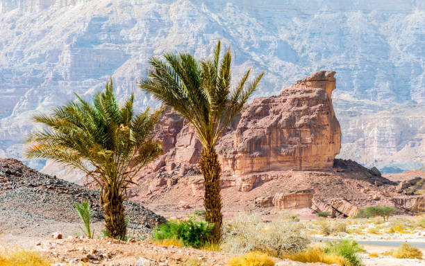 istock Geological formation in Timna park, Israel 909896486