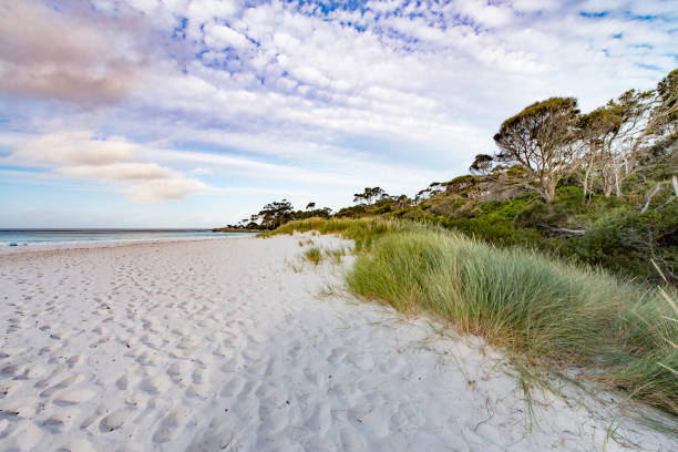 istock Bay of Fires, Tasmania, Australia 909898896