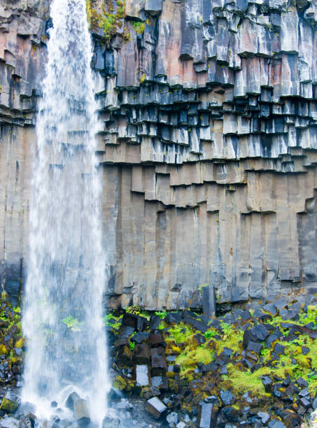 istock Svartifoss waterfall, Iceland 909898924