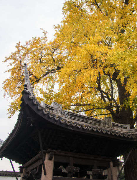 The Chinese Pavilion cornices, in wuxi