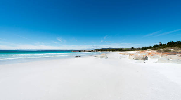istock Bay of Fires, Tasmania, Australia 909899738