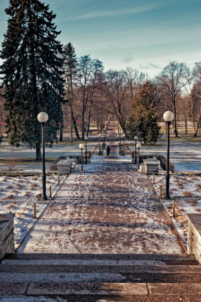 istock Long Snowy Alley In The Park 909902310