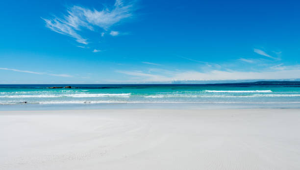 istock Bay of Fires beach, Tasmania, Australia 909902654