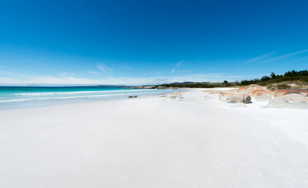 istock Bay of Fires, Tasmania, Australia 909906340