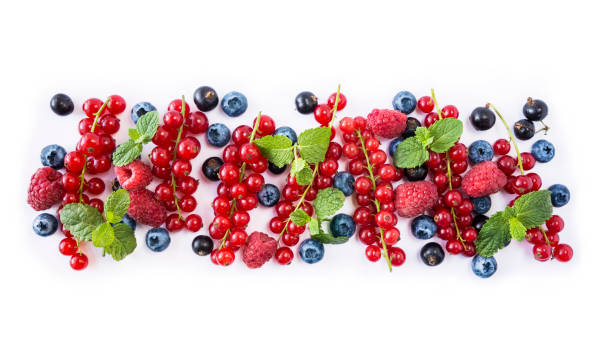 mix berries isolated on a white. ripe blueberries, red currants, black currant and raspberries. berries and fruits with copy space for text. various fresh summer berries on white background. background berries. top view. - 3148 imagens e fotografias de stock