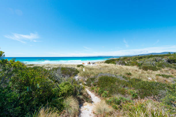 istock Bay of Fires, Tasmania, Australia 909915176