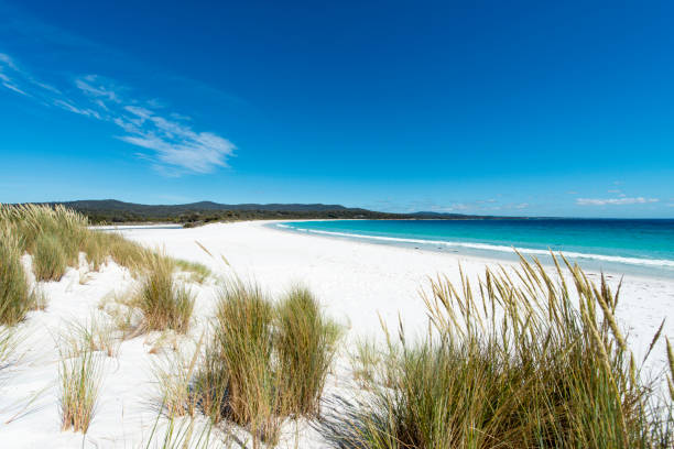 istock Bay of Fires, Tasmania, Australia 909915404