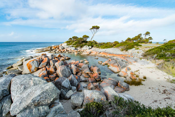 istock Bay of Fires, Tasmania, Australia 909917678