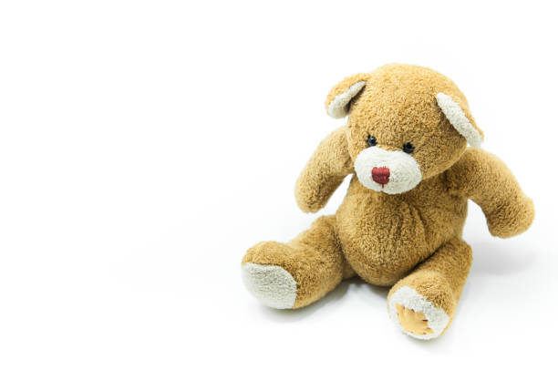 istock Brown Teddy Bear toy sitting on White 909931200