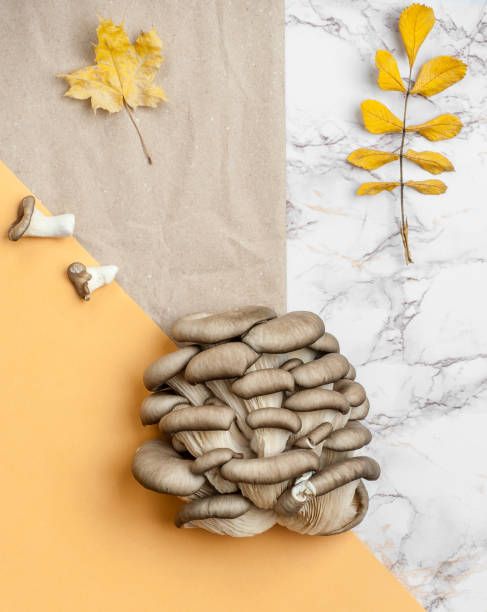 Fresh oyster mushrooms on a background of kraft paper and a marble table. stock photo