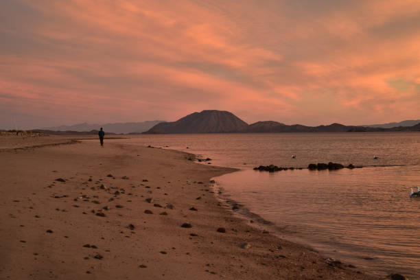 One person walks alone along the beach shoreline waterfront coast on the Bay of California, also known as the Sea of Cortez, Baja, Mexico
