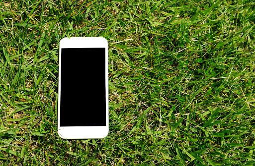 A phone on the green grass