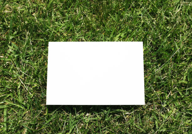 istock The white paper on the green grass 909934744
