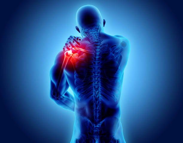 istock Shoulder painful skeleton x-ray, 3D illustration. 909934850