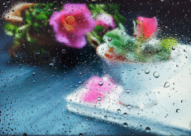 Rain drops on window frame