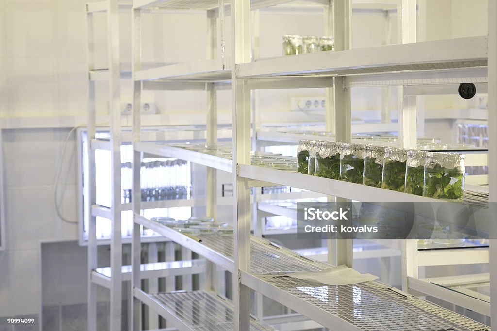 Laboratório de origem biológica - Royalty-free ADN Foto de stock