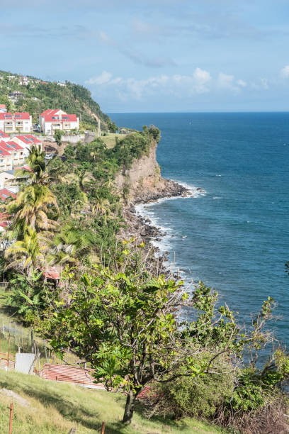 istock Basse Terre in Guadeloupe, panorama 909942824