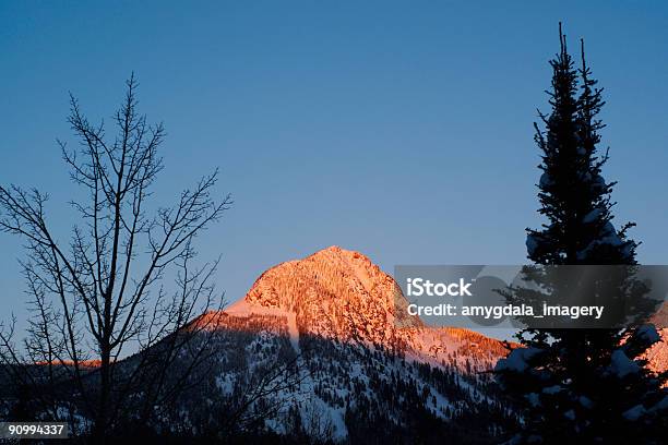 Las Montañas Y Árboles Al Atardecer Foto de stock y más banco de imágenes de Abeto - Abeto, Aire libre, Amanecer