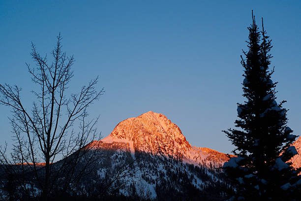 산 및 나무, 해질녘까지 - copy space alpenglow winter mountain range 뉴스 사진 이미지