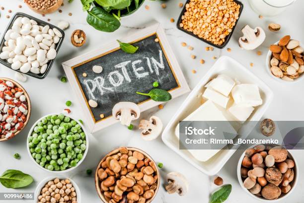 Vegan Protein Sources Stock Photo - Download Image Now - Protein, Food, Vegan Food