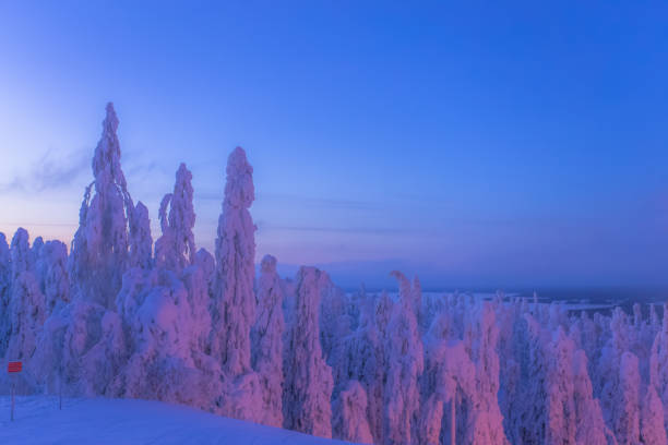 Snowy landscape from Sotkamo, Finland.