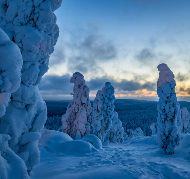 istock Snowy landscape from Sotkamo, Finland. 909946832
