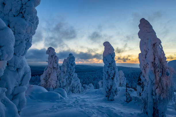 istock Snowy landscape from Sotkamo, Finland. 909946834