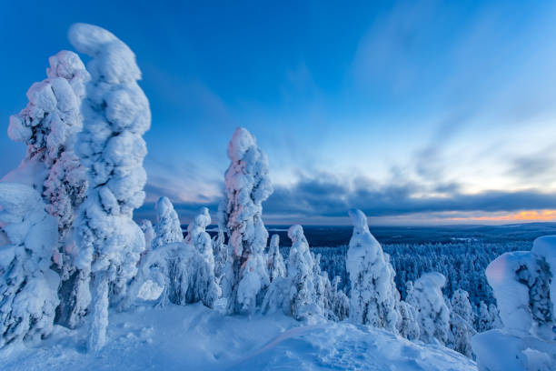 istock Snowy landscape from Sotkamo, Finland. 909946872