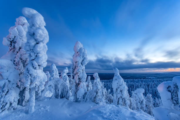 istock Snowy landscape from Sotkamo, Finland. 909946876