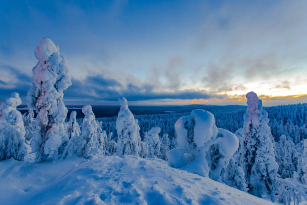 istock Snowy landscape from Sotkamo, Finland. 909946892